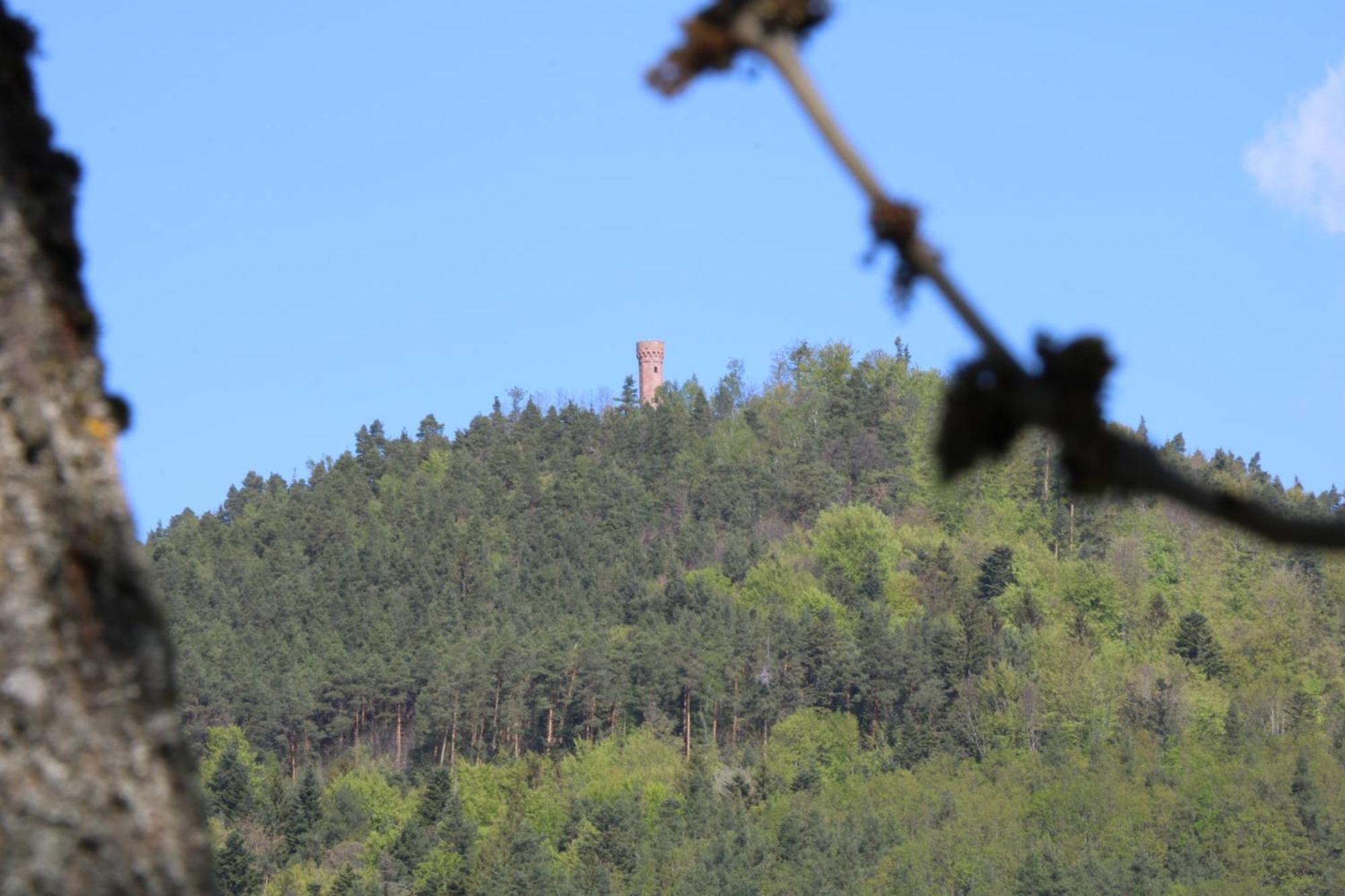 Chambres D'Hotes Les Ecrins Orbey Bagian luar foto